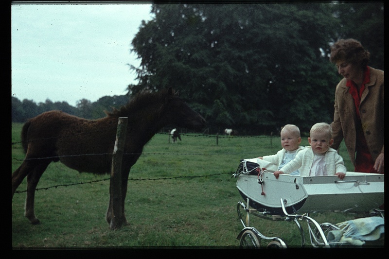 33.Horsten jul 1964 Mama,Brigitte,Marion.JPG
